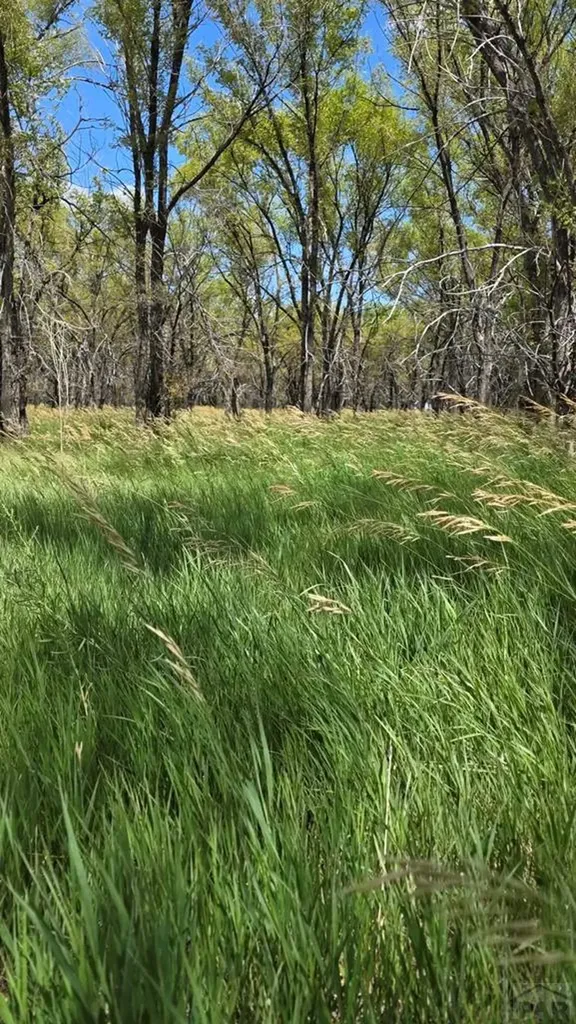 7621 Highway 50 Las Animas CO 81054