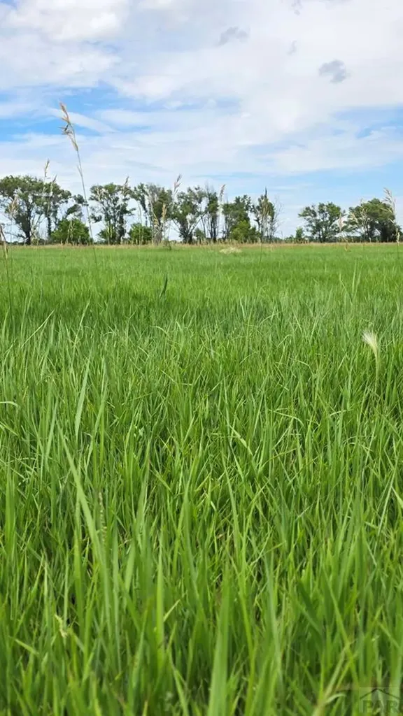 7621 Highway 50 Las Animas CO 81054