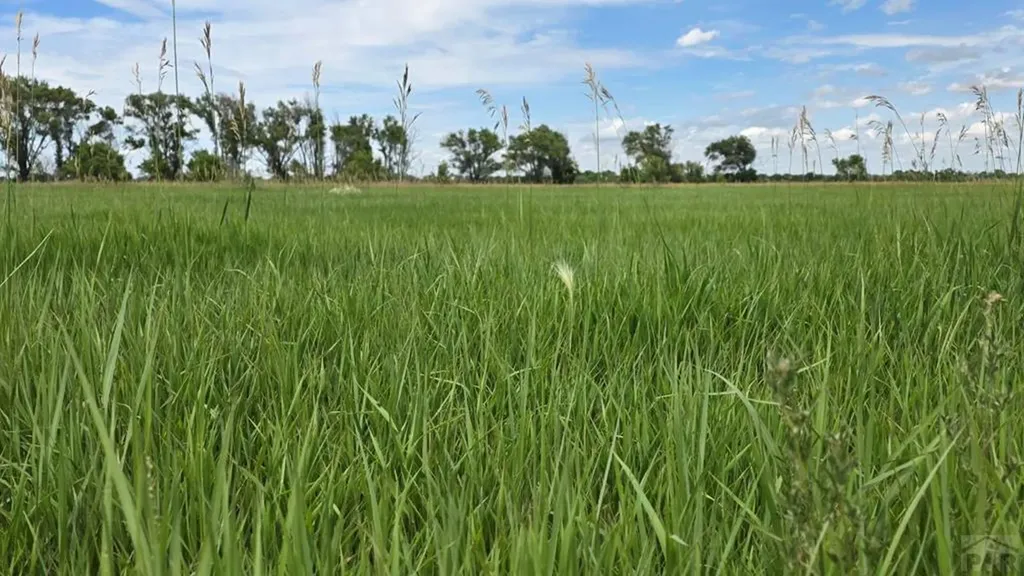 7621 Highway 50 Las Animas CO 81054