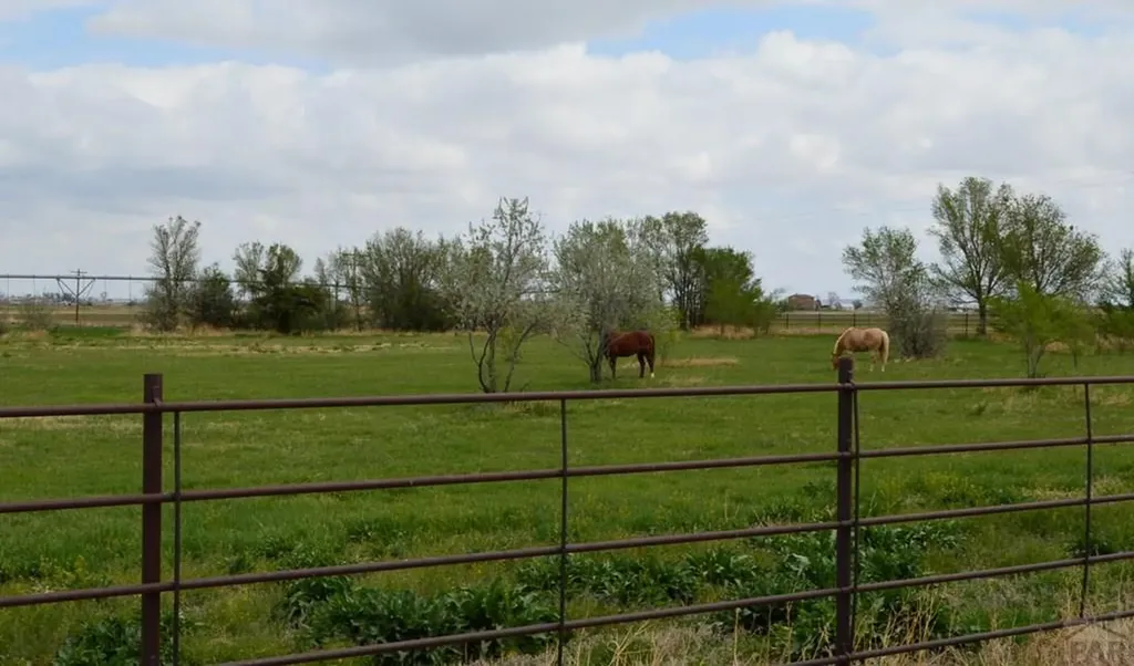 22661 Road 24 La Junta CO 81050