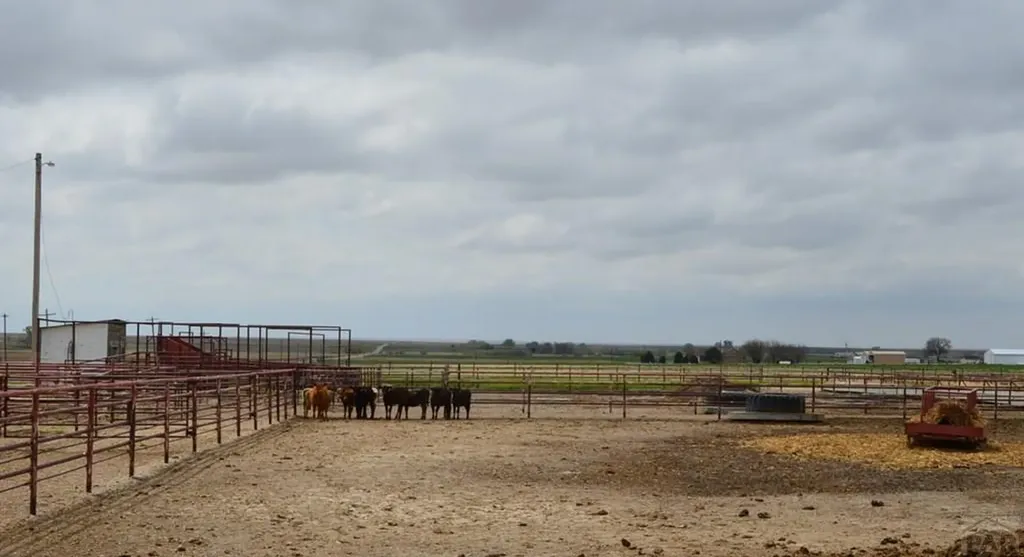 22661 Road 24 La Junta CO 81050