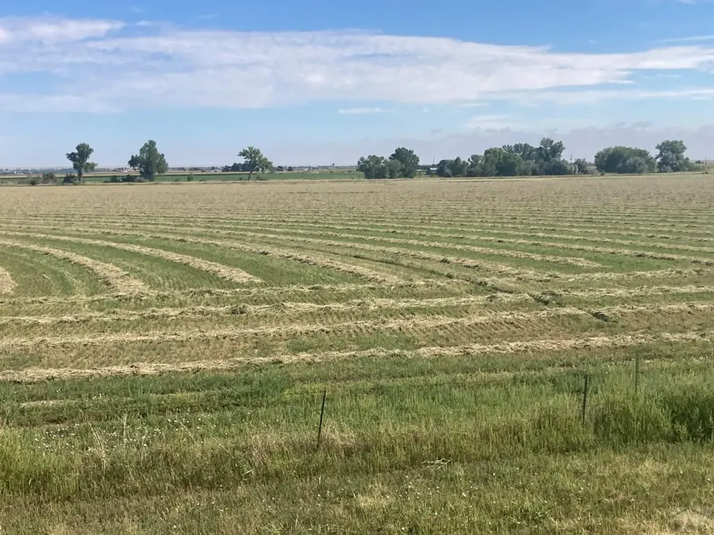 22661 Road 24 La Junta CO 81050