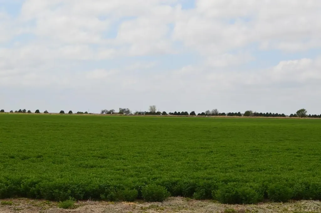 22661 Road 24 La Junta CO 81050