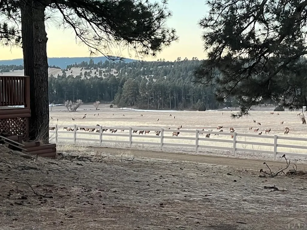 24030 County Road 43.6 Aguilar CO 81020