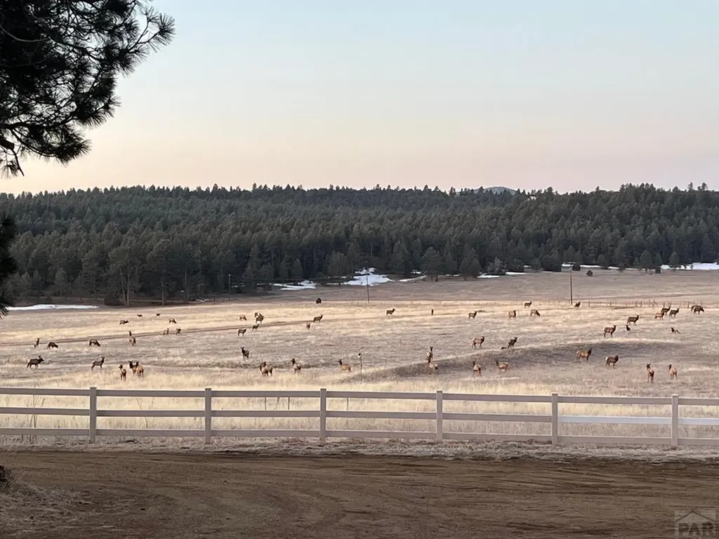 24030 County Road 43.6 Aguilar CO 81020