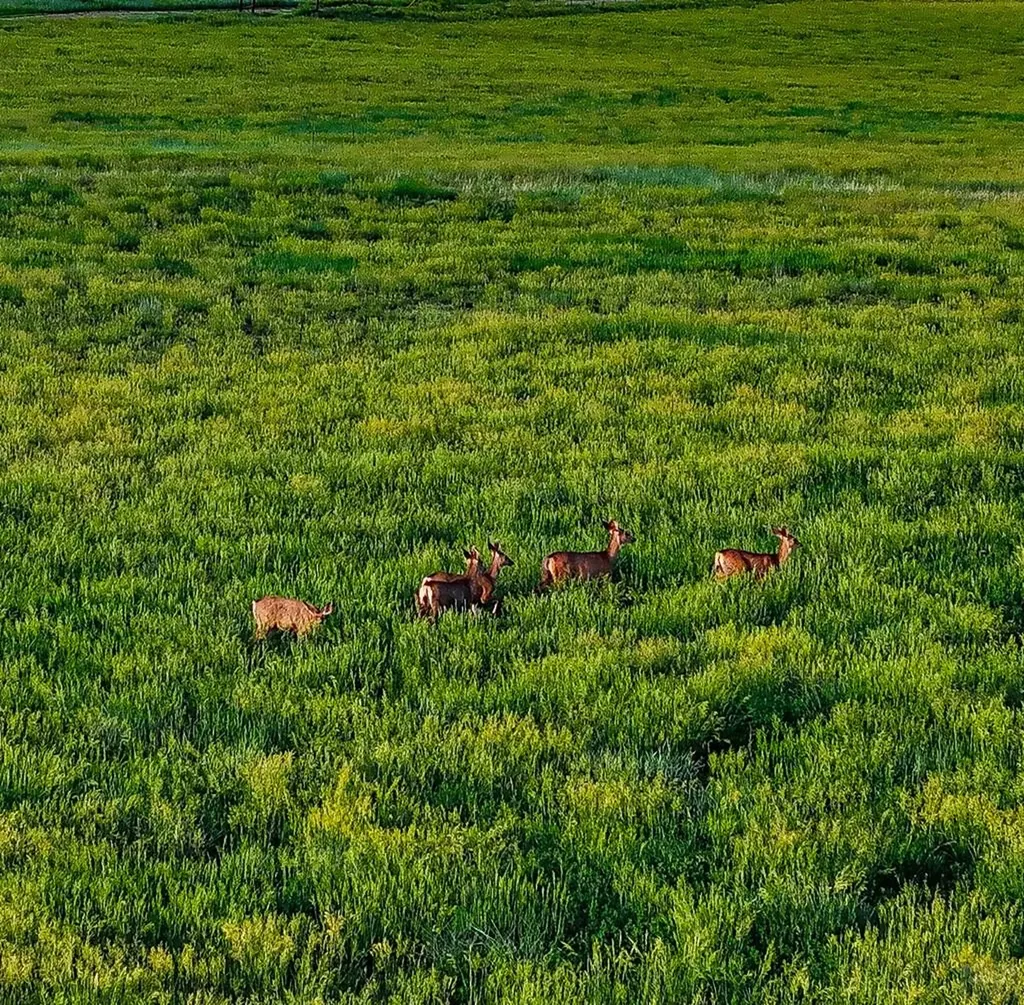 24030 County Road 43.6 Aguilar CO 81020