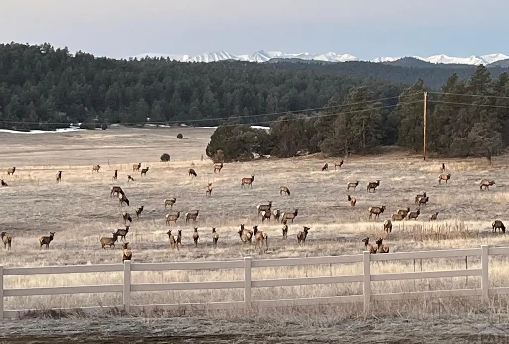 24030 County Road 43.6 Aguilar CO 81020