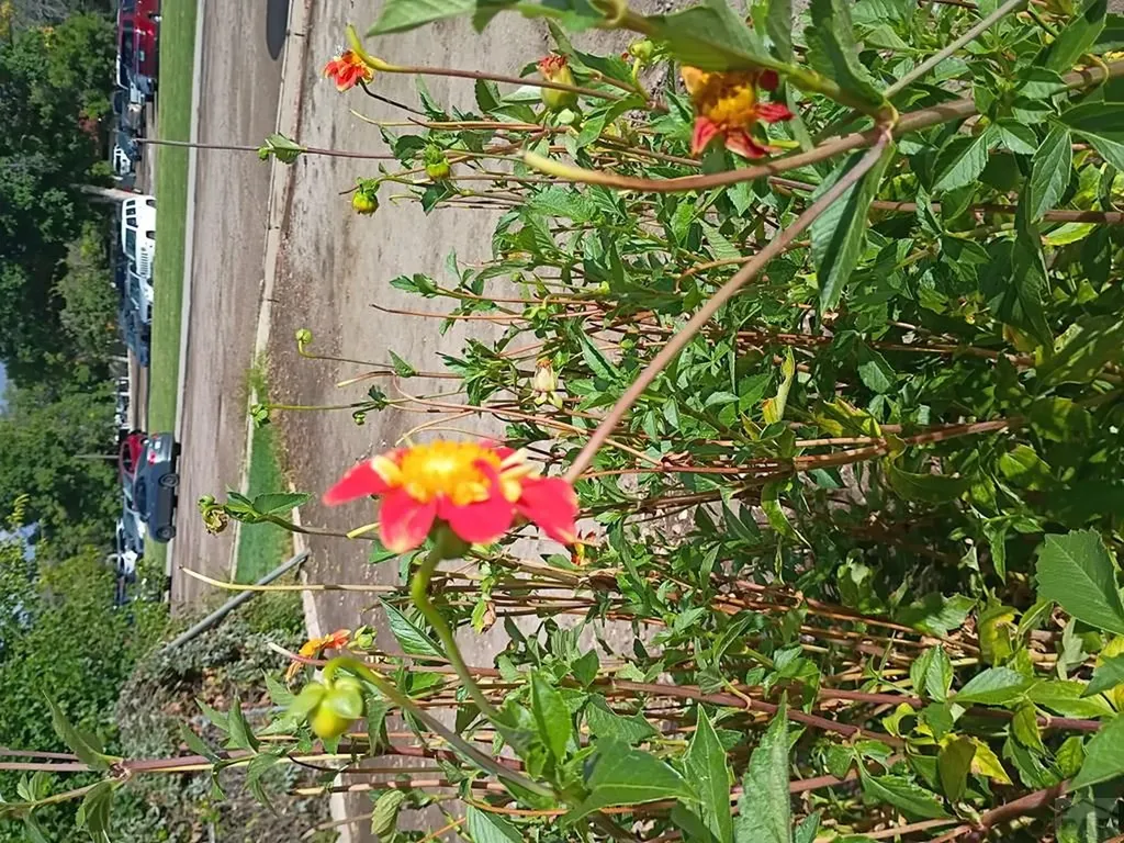 511 Arthur Street Pueblo CO 81004