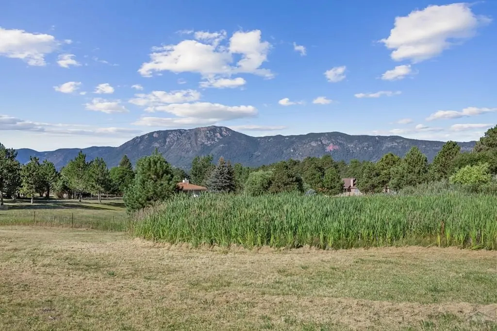 19402 Deerwood Circle Monument CO 80132