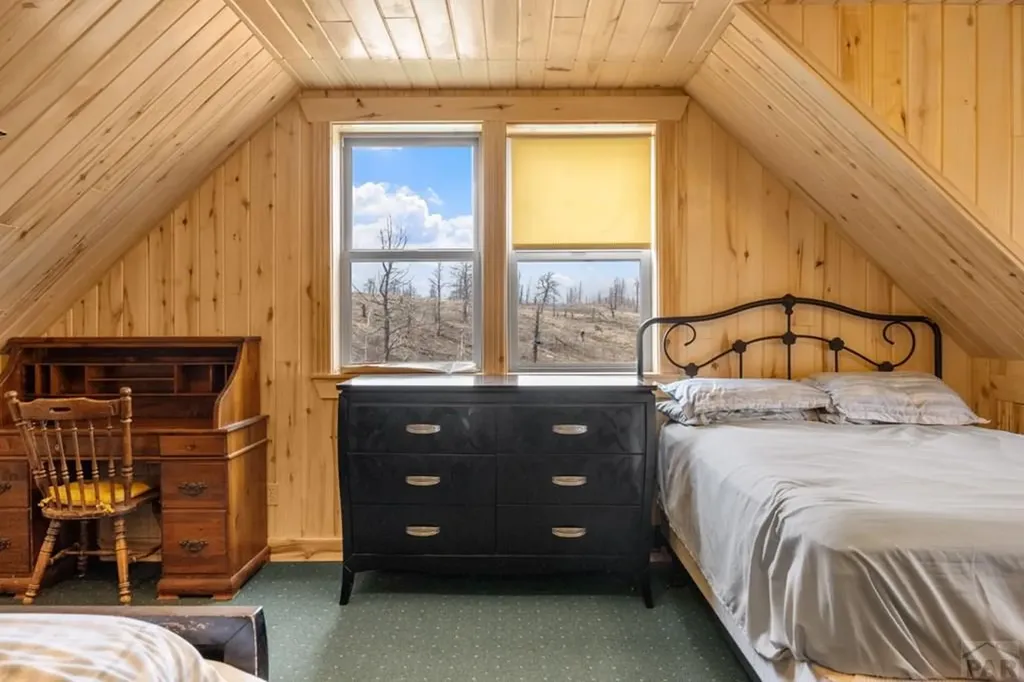 645 Emery Loop Fort Garland CO 81133