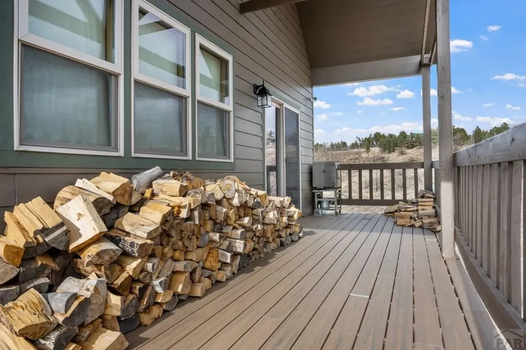 645 Emery Loop Fort Garland CO 81133