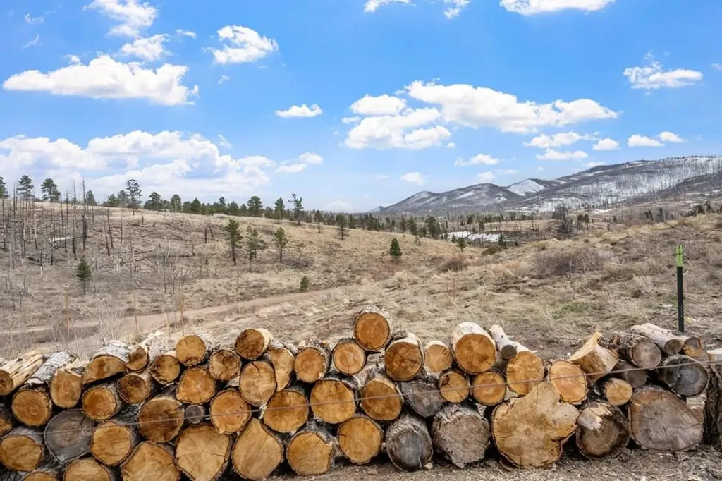 645 Emery Loop Fort Garland CO 81133