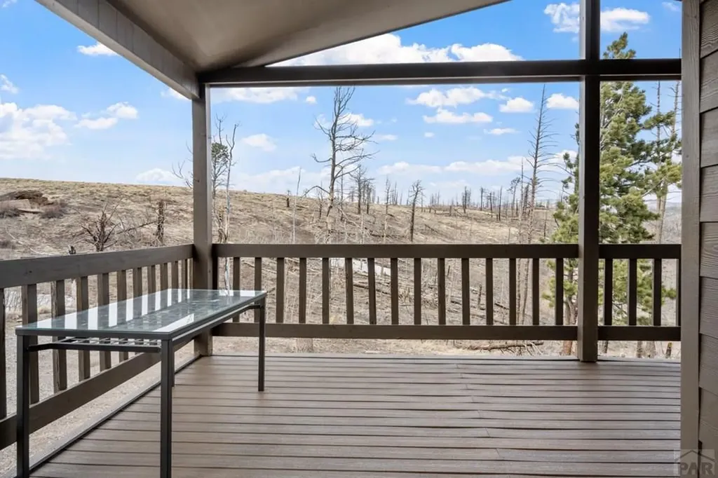 645 Emery Loop Fort Garland CO 81133