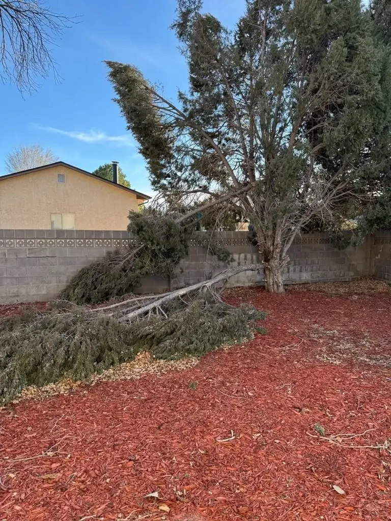 1345 Terry Circle Pueblo CO 81006