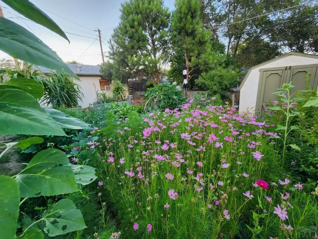 3503 Baystate Avenue Pueblo CO 81005