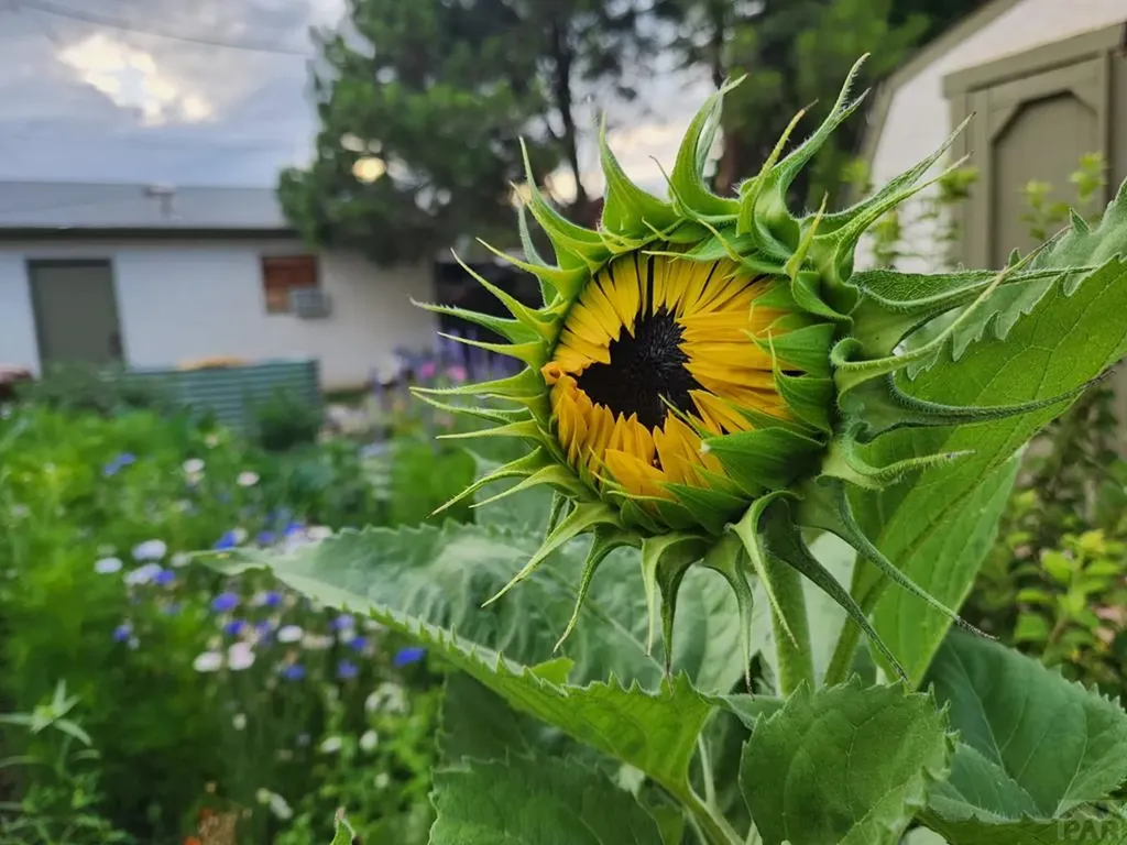 3503 Baystate Avenue Pueblo CO 81005