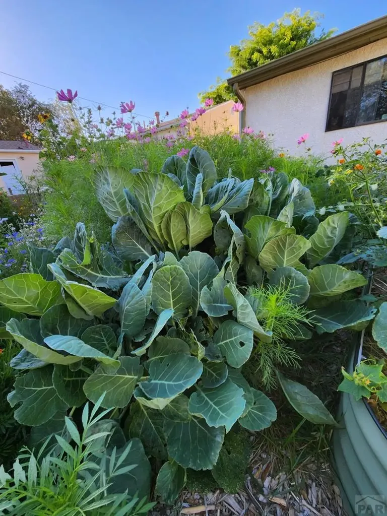 3503 Baystate Avenue Pueblo CO 81005