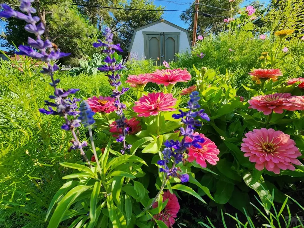 3503 Baystate Avenue Pueblo CO 81005