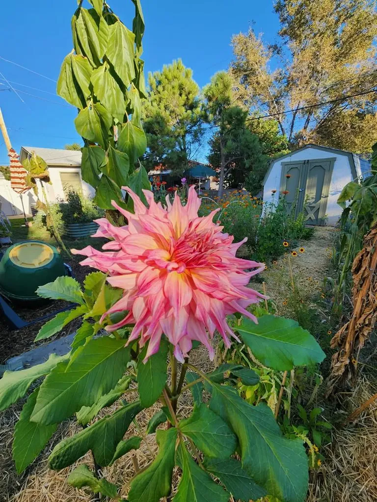 3503 Baystate Avenue Pueblo CO 81005