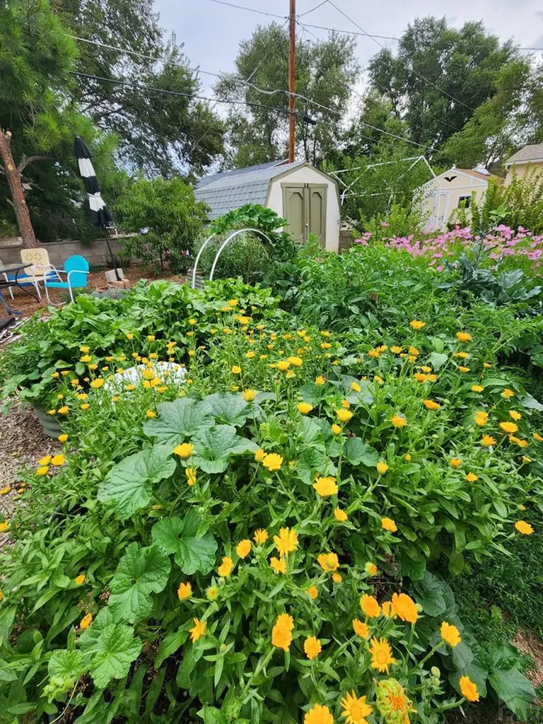 3503 Baystate Avenue Pueblo CO 81005