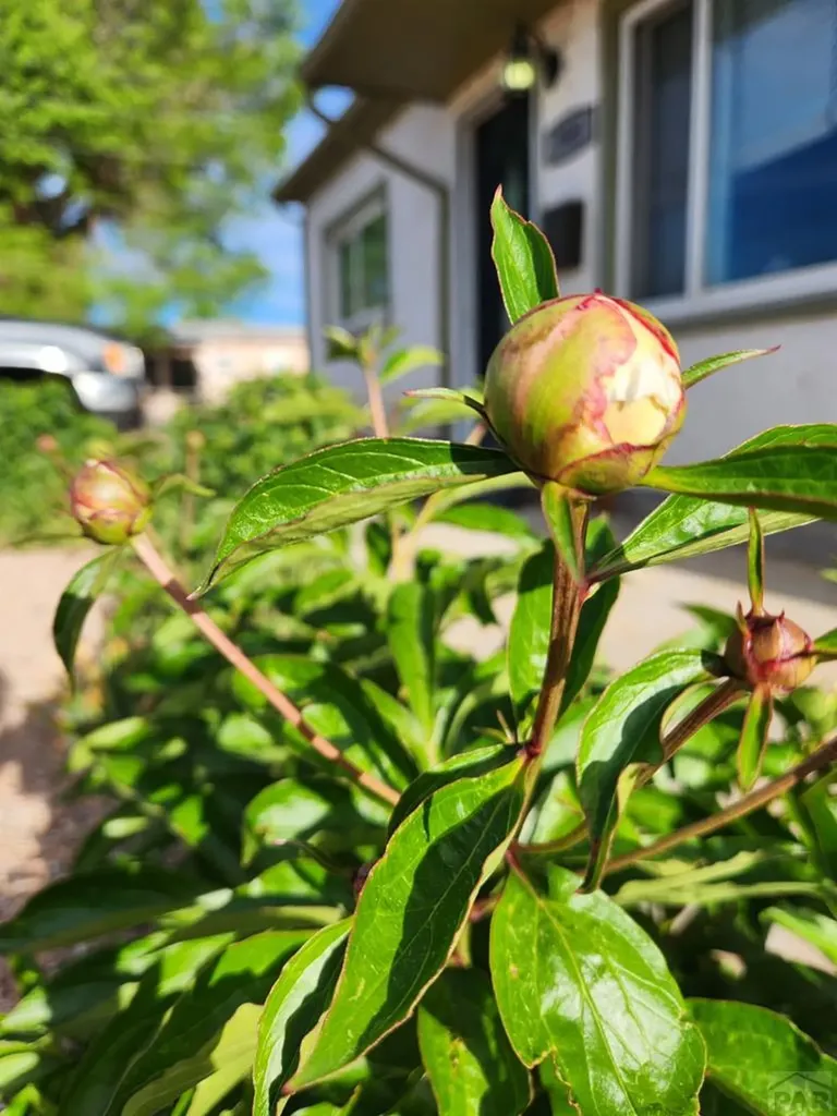 3503 Baystate Avenue Pueblo CO 81005