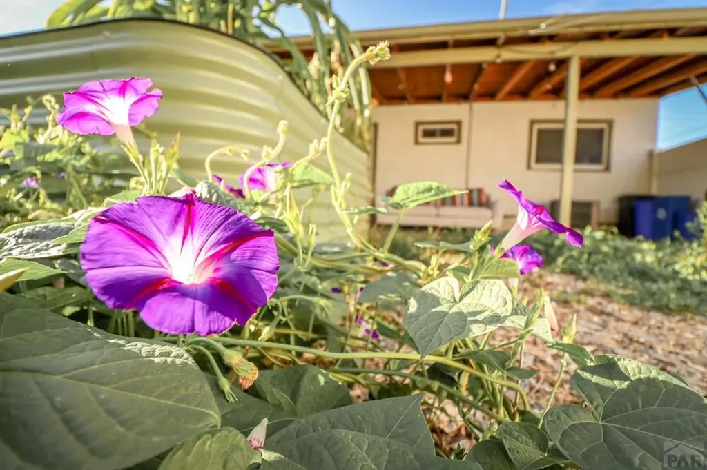 3503 Baystate Avenue Pueblo CO 81005