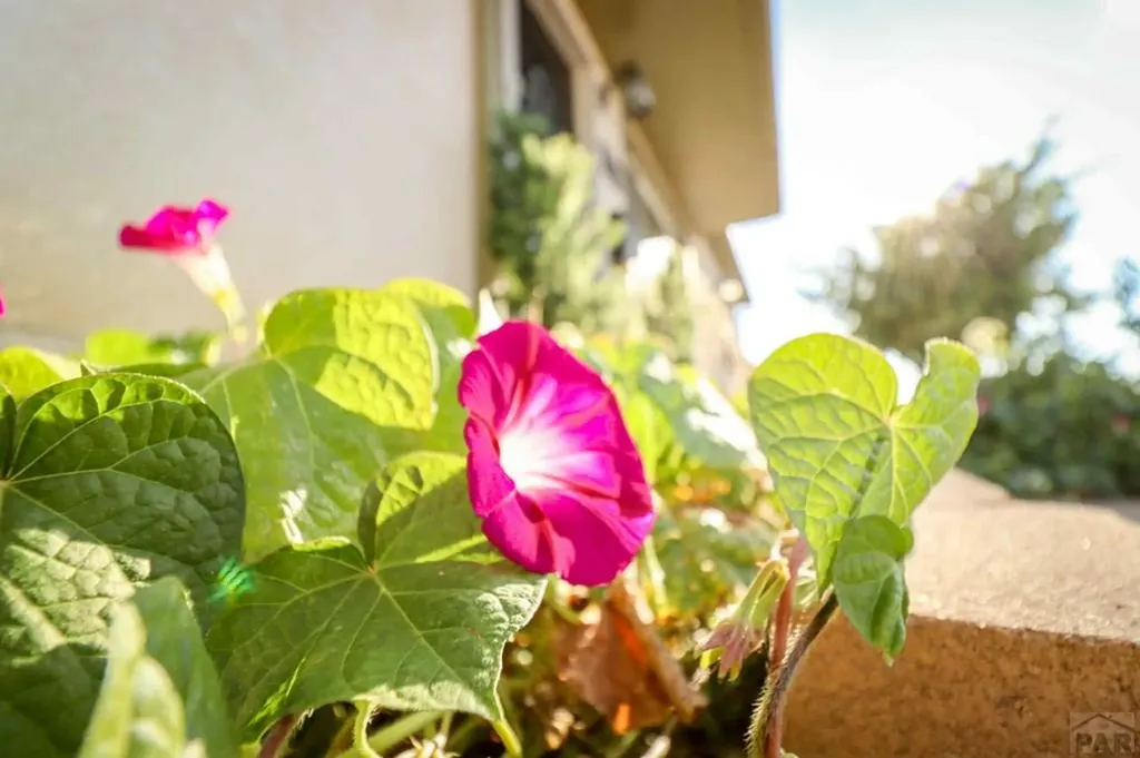 3503 Baystate Avenue Pueblo CO 81005