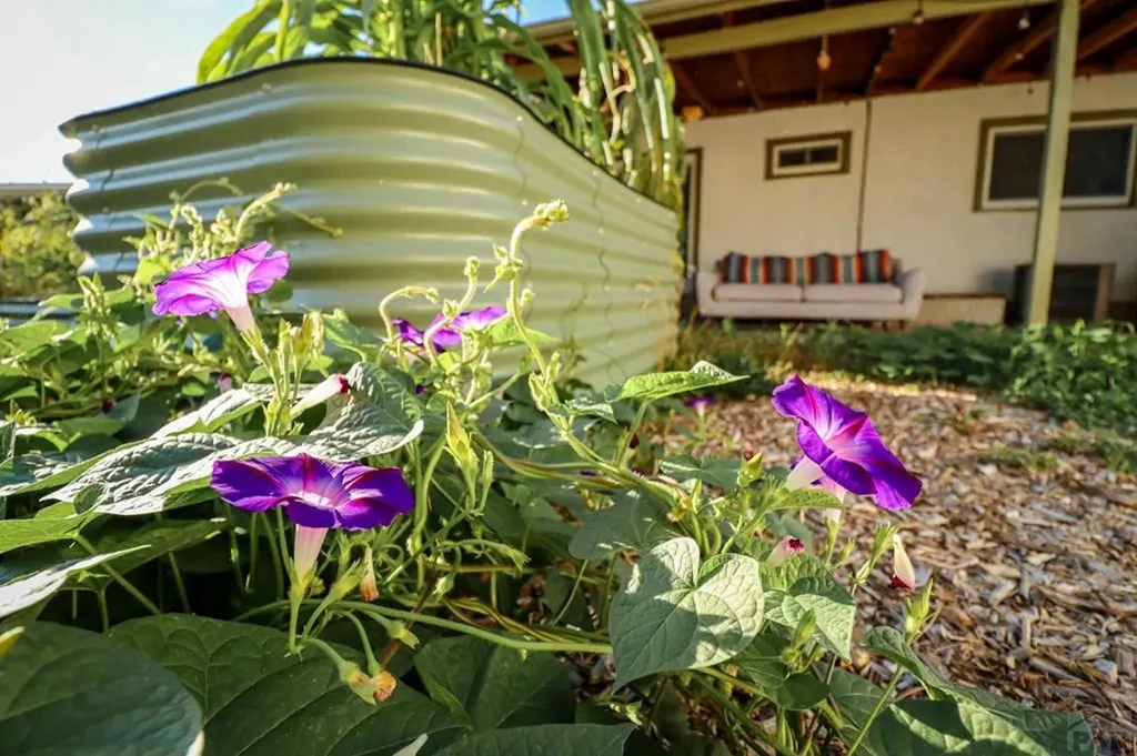 3503 Baystate Avenue Pueblo CO 81005