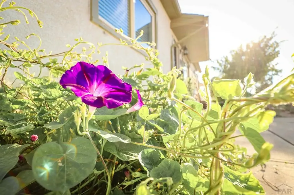 3503 Baystate Avenue Pueblo CO 81005