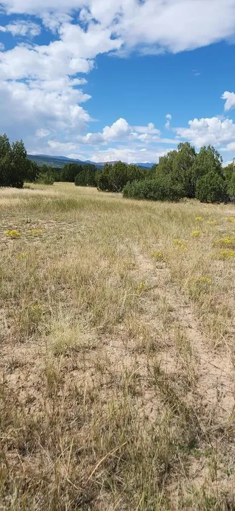 3485 Canyon Heights Road Pueblo CO 81005