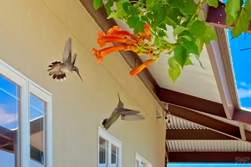 7120 Salt Creek Road Pueblo CO 81004