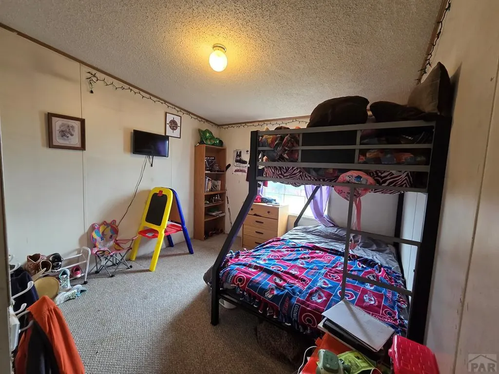 10436 Hayes Lane Rye CO 81069