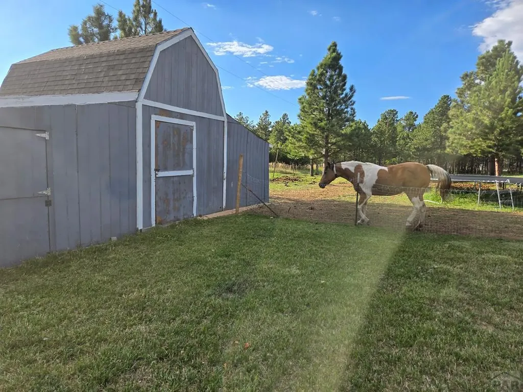 10436 Hayes Lane Rye CO 81069