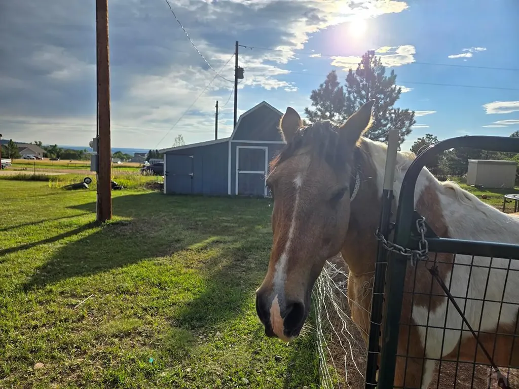 10436 Hayes Lane Rye CO 81069