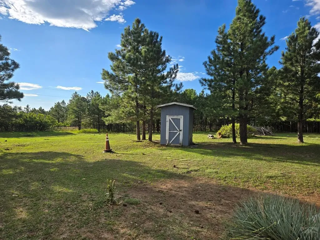 10436 Hayes Lane Rye CO 81069