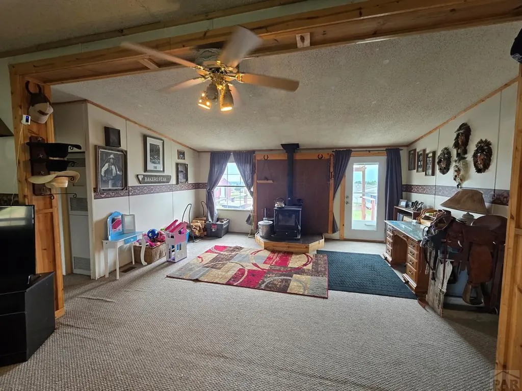 10436 Hayes Lane Rye CO 81069