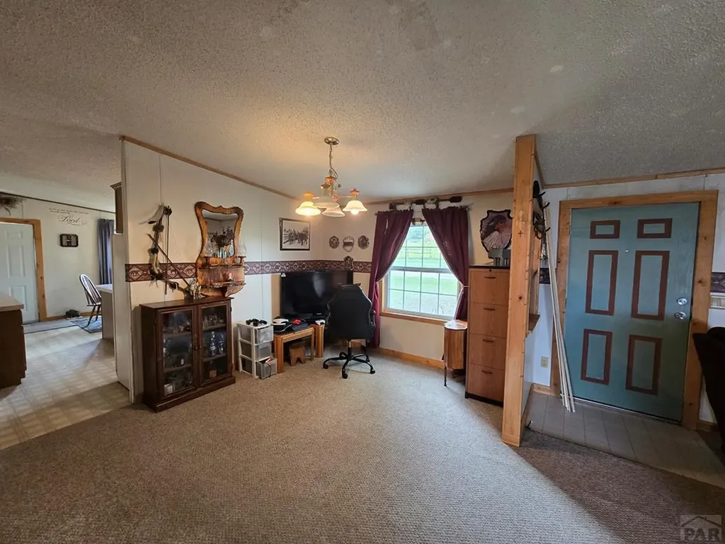 10436 Hayes Lane Rye CO 81069