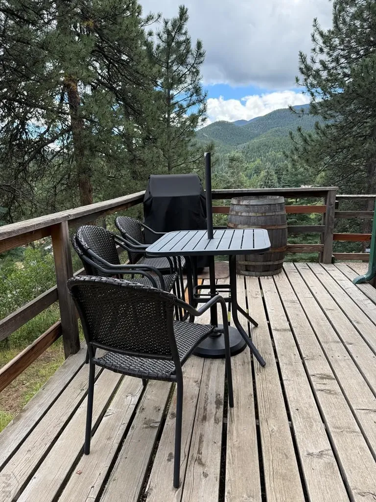 82 Goldhill Drive Rye CO 81069