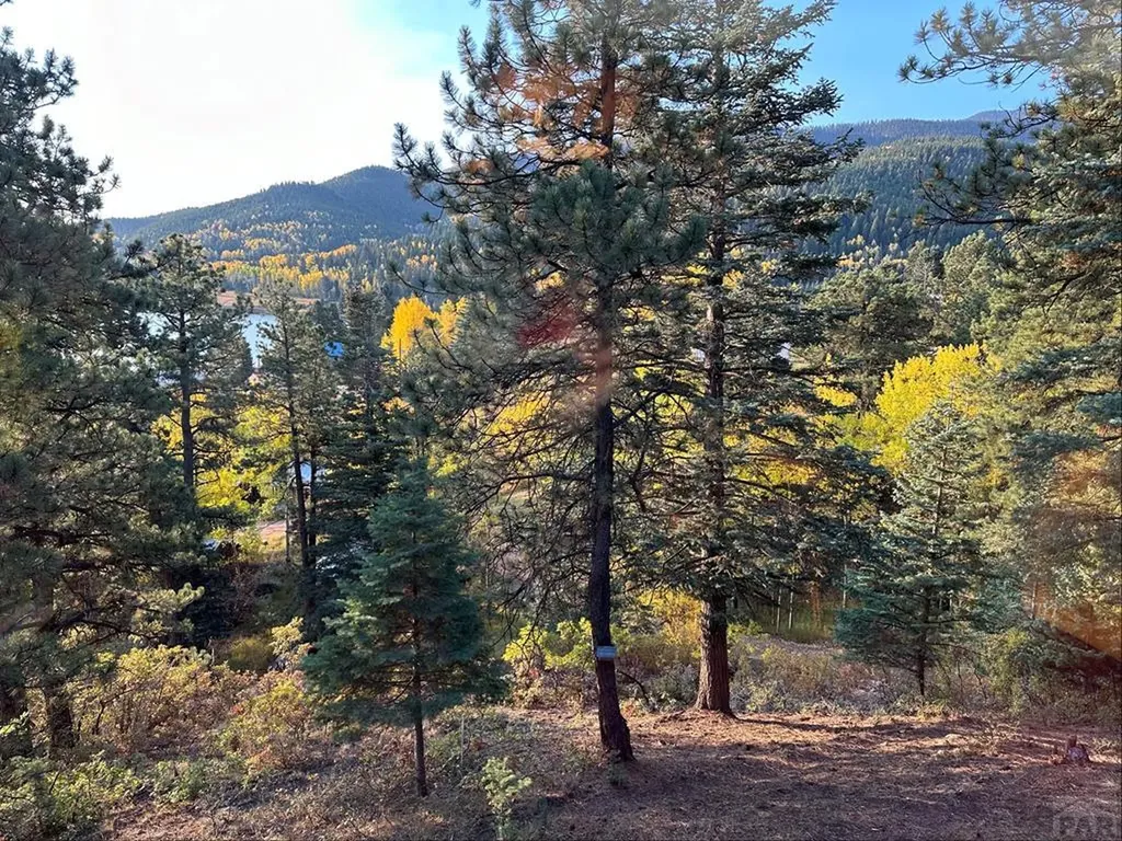 82 Goldhill Drive Rye CO 81069