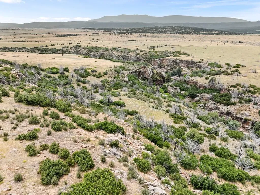 5843 Hart Ranch Drive Beulah CO 81023