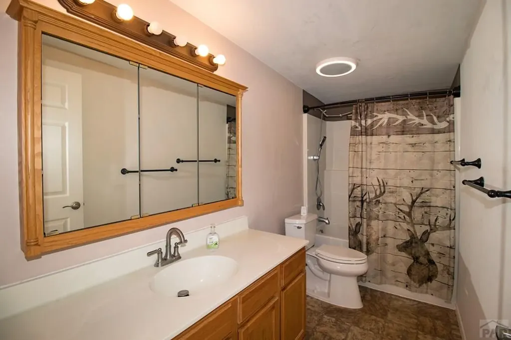 560 Oak Creek Avenue Rockvale CO 81244