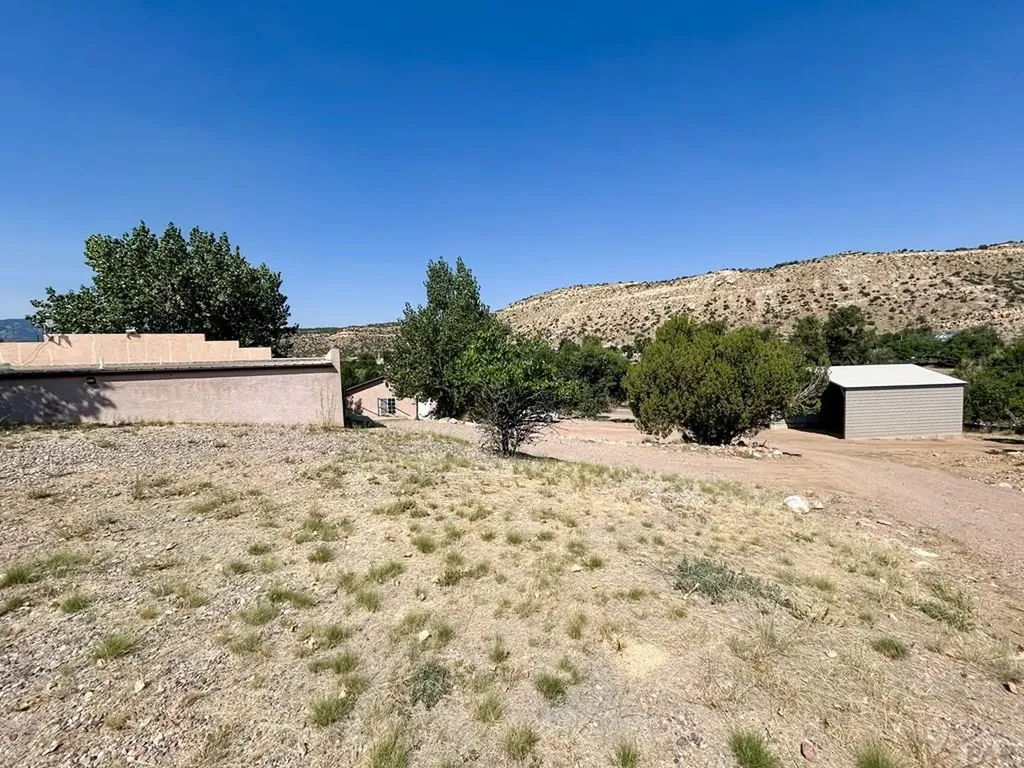 560 Oak Creek Avenue Rockvale CO 81244