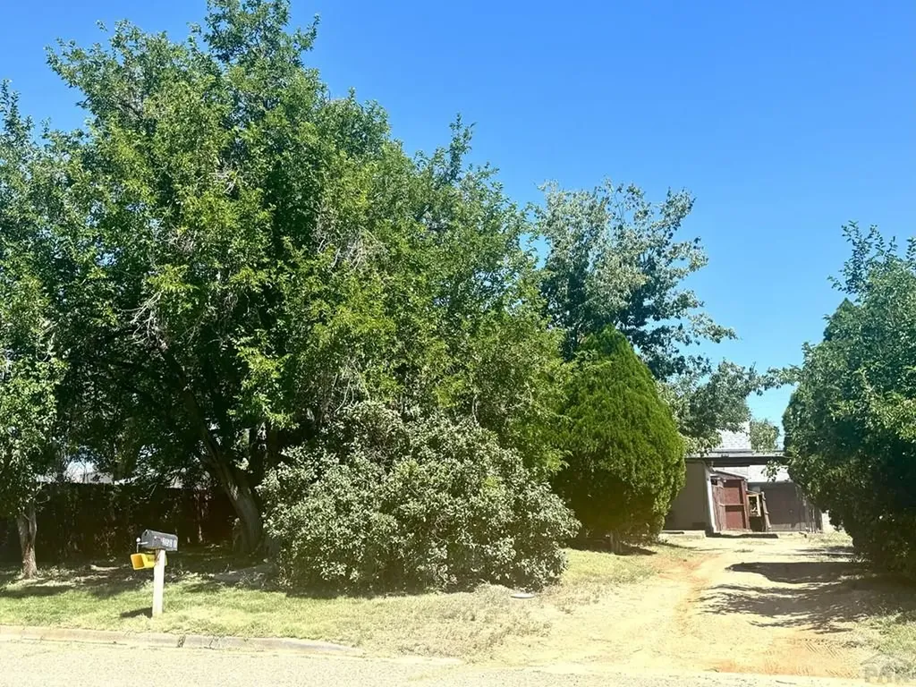 2508 Carthage Avenue Pueblo CO 81003