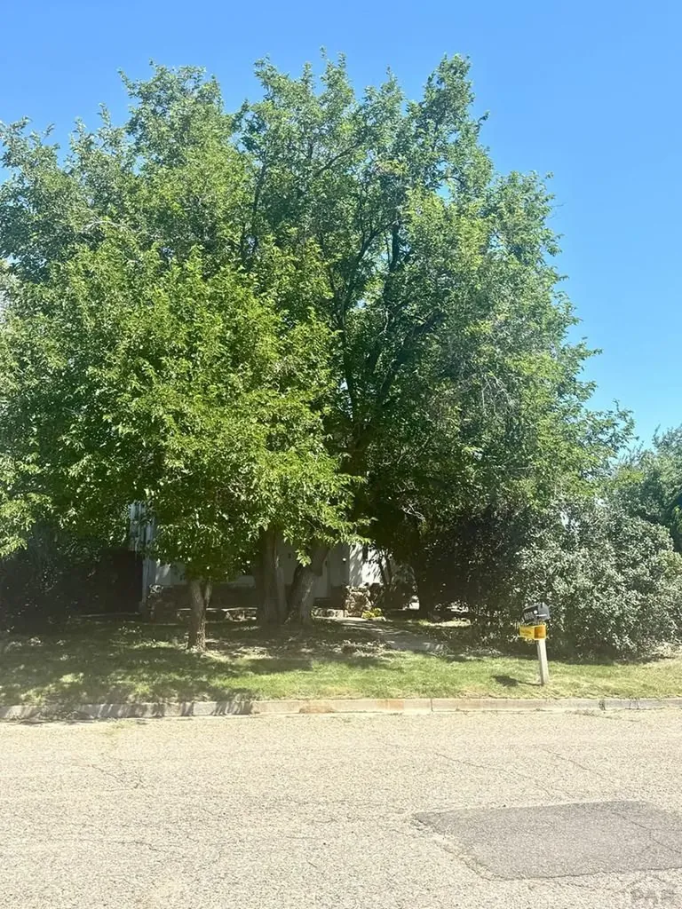2508 Carthage Avenue Pueblo CO 81003