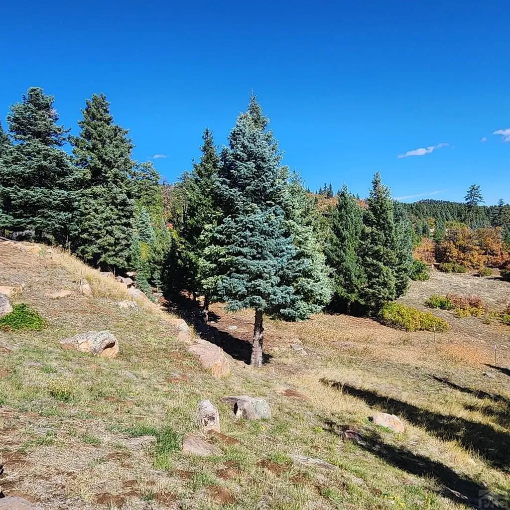 6738 Greenhorn Mountain Drive Beulah CO 81023