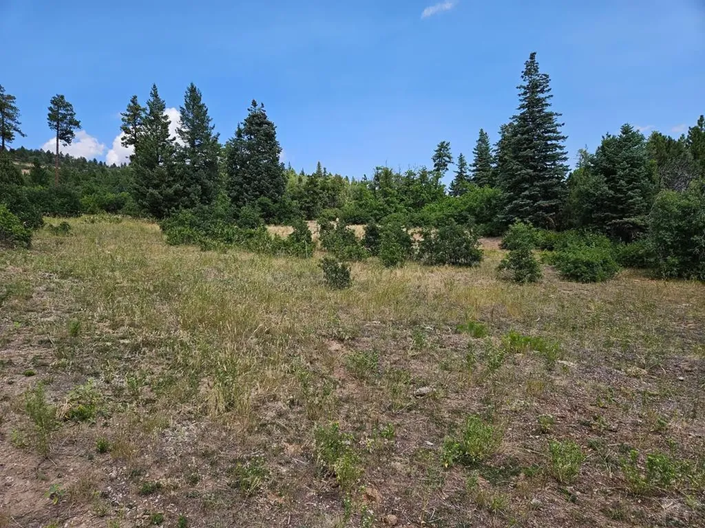 6738 Greenhorn Mountain Drive Beulah CO 81023