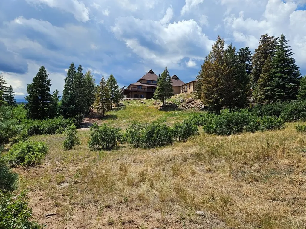 6738 Greenhorn Mountain Drive Beulah CO 81023