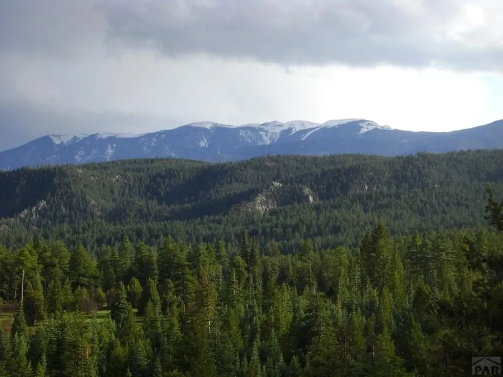 6738 Greenhorn Mountain Drive Beulah CO 81023