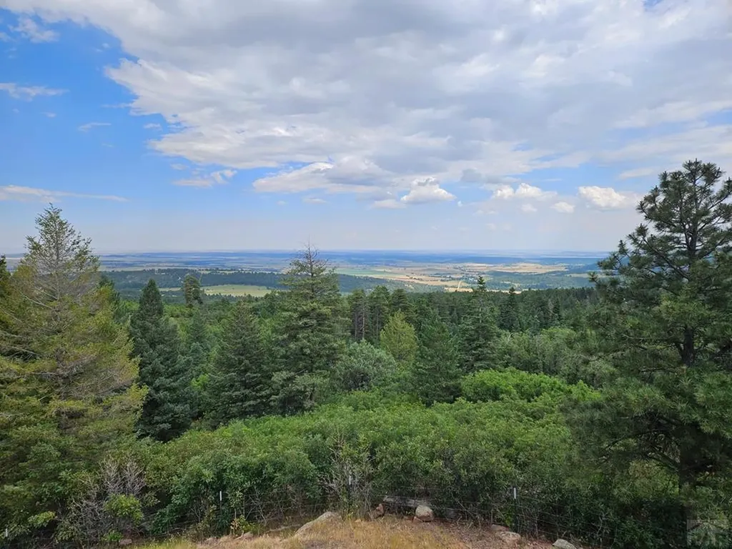 6738 Greenhorn Mountain Drive Beulah CO 81023