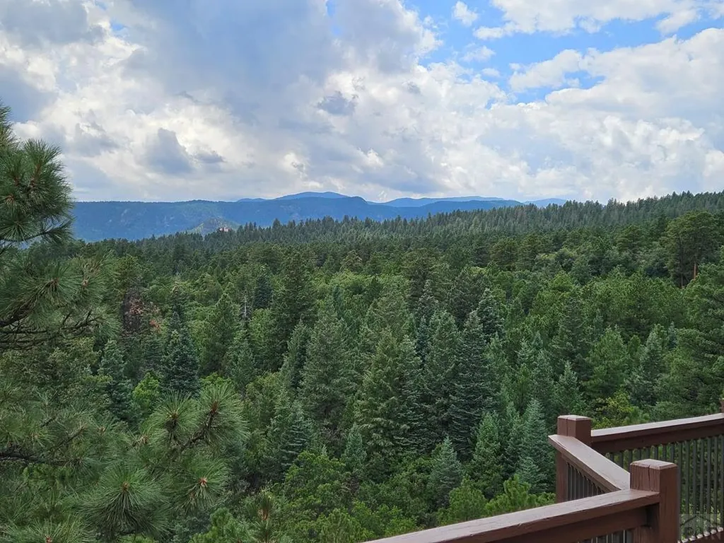 6738 Greenhorn Mountain Drive Beulah CO 81023